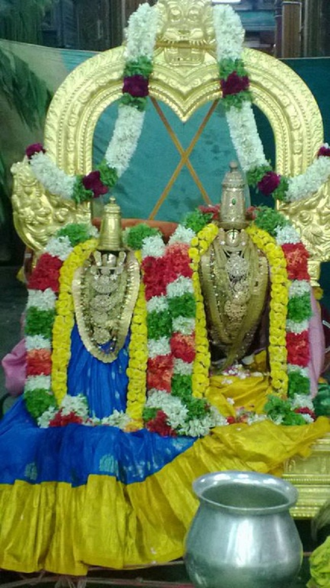 Vanamamalai Sri Deivanayagan Chithirai Brahmothsavam8