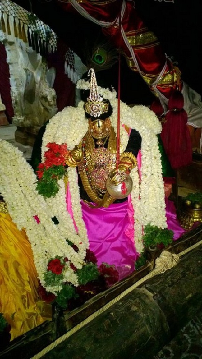 Vanamamalai Sri Deivanayagan chithirai Brahmothsavam 10
