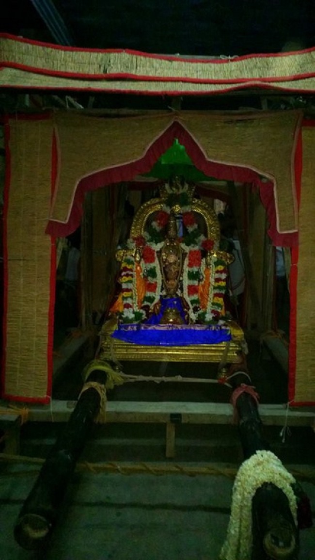 Vanamamalai Sri Deivanayagan chithirai Brahmothsavam 12
