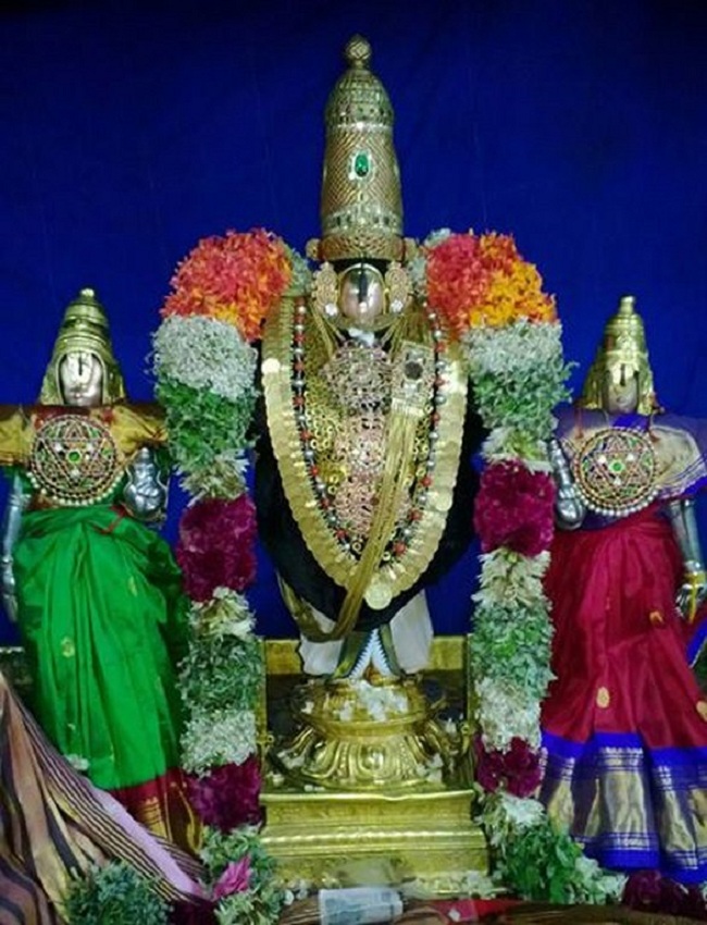 Vanamamalai Sri Deivanayagan chithirai Brahmothsavam 15