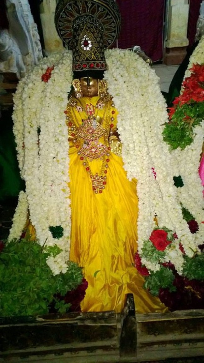 Vanamamalai Sri Deivanayagan chithirai Brahmothsavam 18