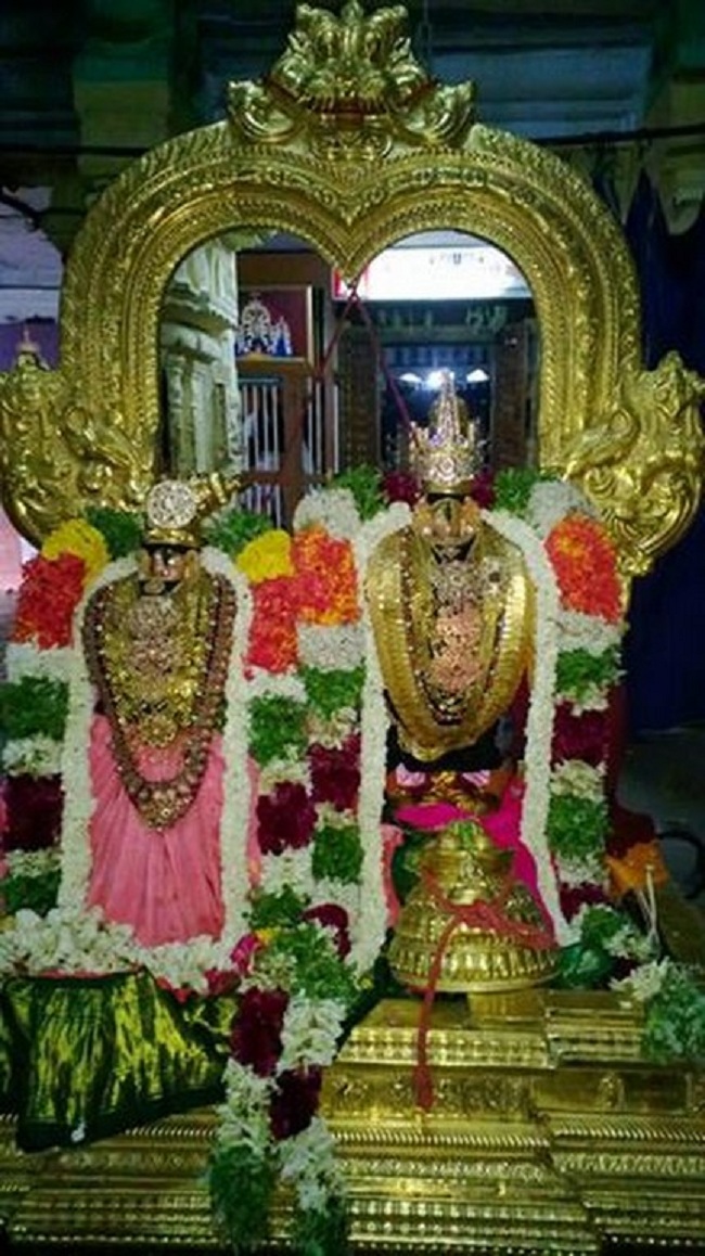 Vanamamalai Sri Deivanayagan chithirai Brahmothsavam 2