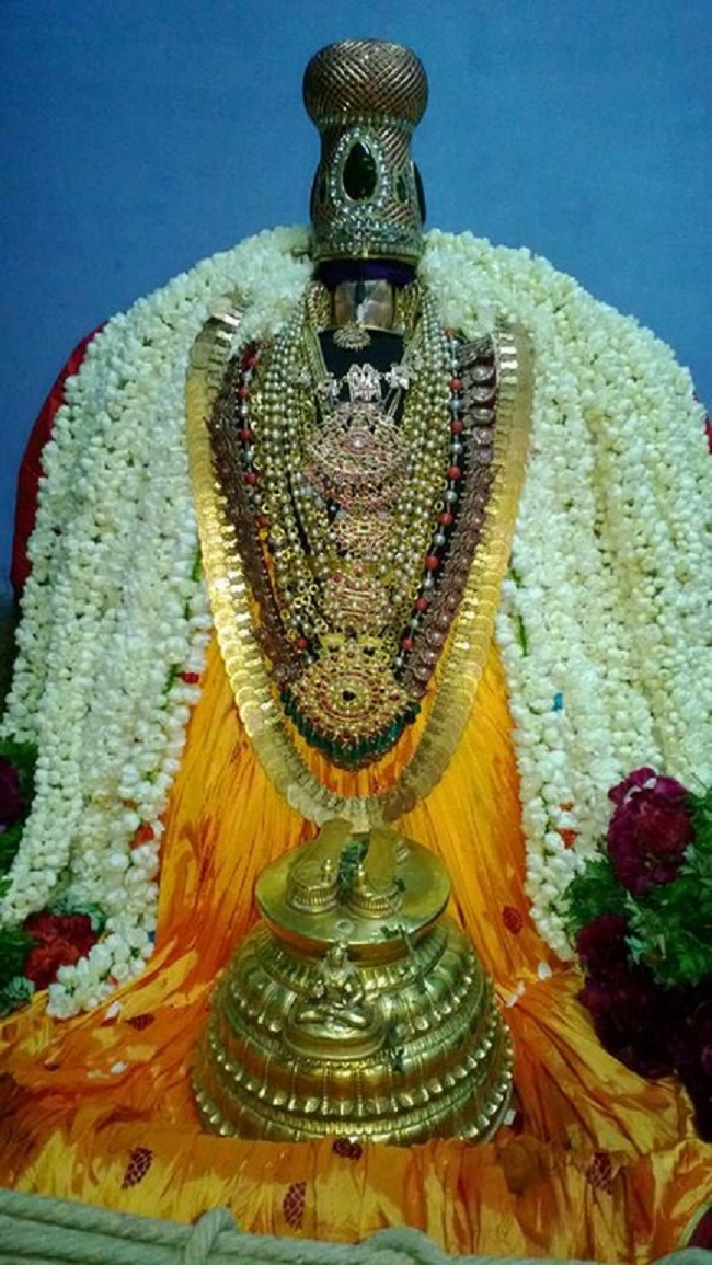 Vanamamalai Sri Deivanayagan chithirai Brahmothsavam 8