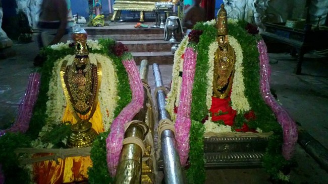 Vanamamalai Sri Deivanayagan chithirai Brahmothsavam 9