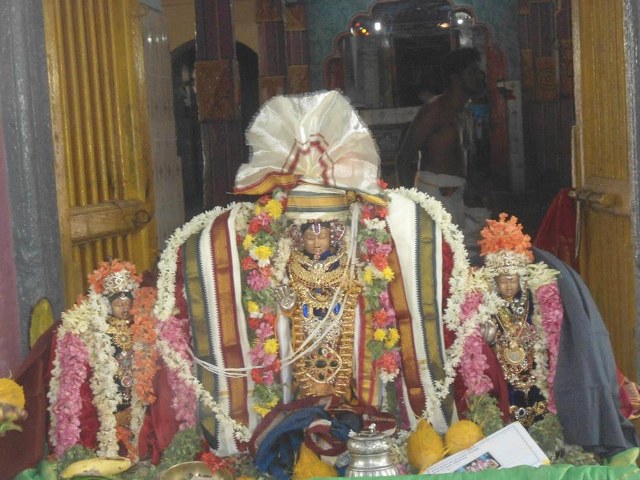 Vazhuthur Ambarisha Varadhan Kalyana Utsavam 2014 03
