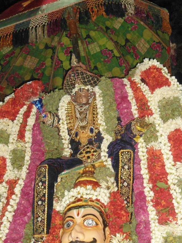 Vazhuthur Ambarisha Varadhan Kalyana Utsavam 2014 06