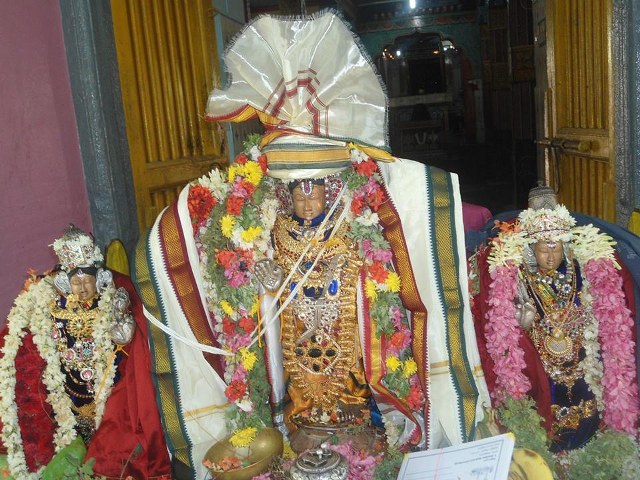 Vazhuthur Ambarisha Varadhan Kalyana Utsavam 2014 25