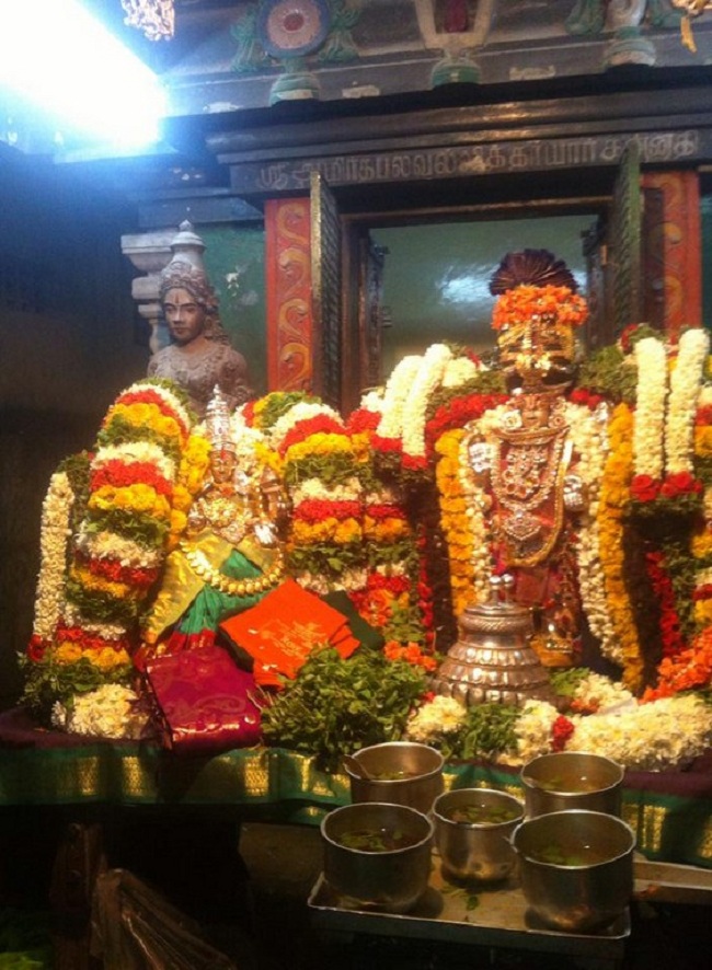 Vedasreni Sri Yoga Narasimhar Brahmothsavam13