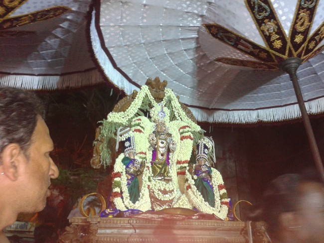 Villivakkam Damodara Perumal Brahmotsavam Kedayam2014 03