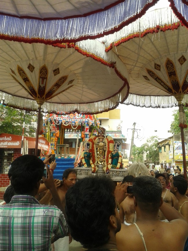 Villivakkam Damodara Perumal Brahmotsavam THiruther 2014 05