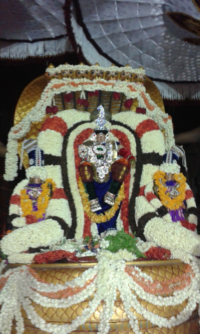 Villivakkam Damodara Perumal Brahmotsavam day 4 Sesha Vahanam-14