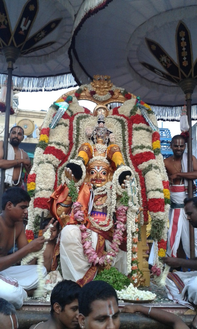 Villivakkam Sowmya Damodara Perumal Temple brahmotsavam garuda sevai -07