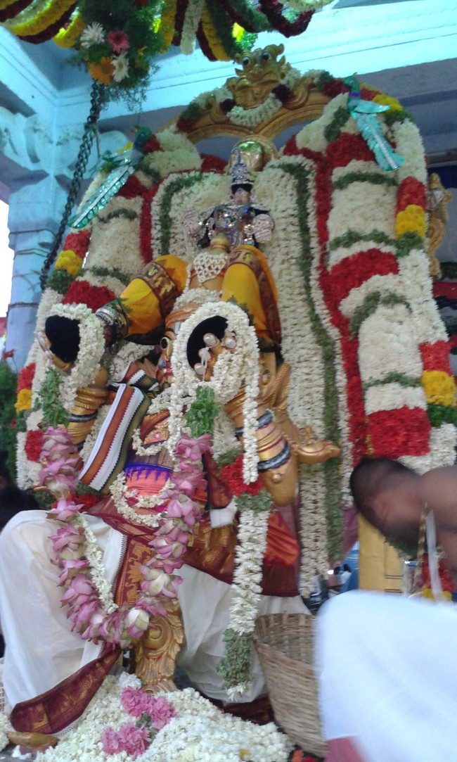 Villivakkam Sowmya Damodara Perumal Temple brahmotsavam garuda sevai -14