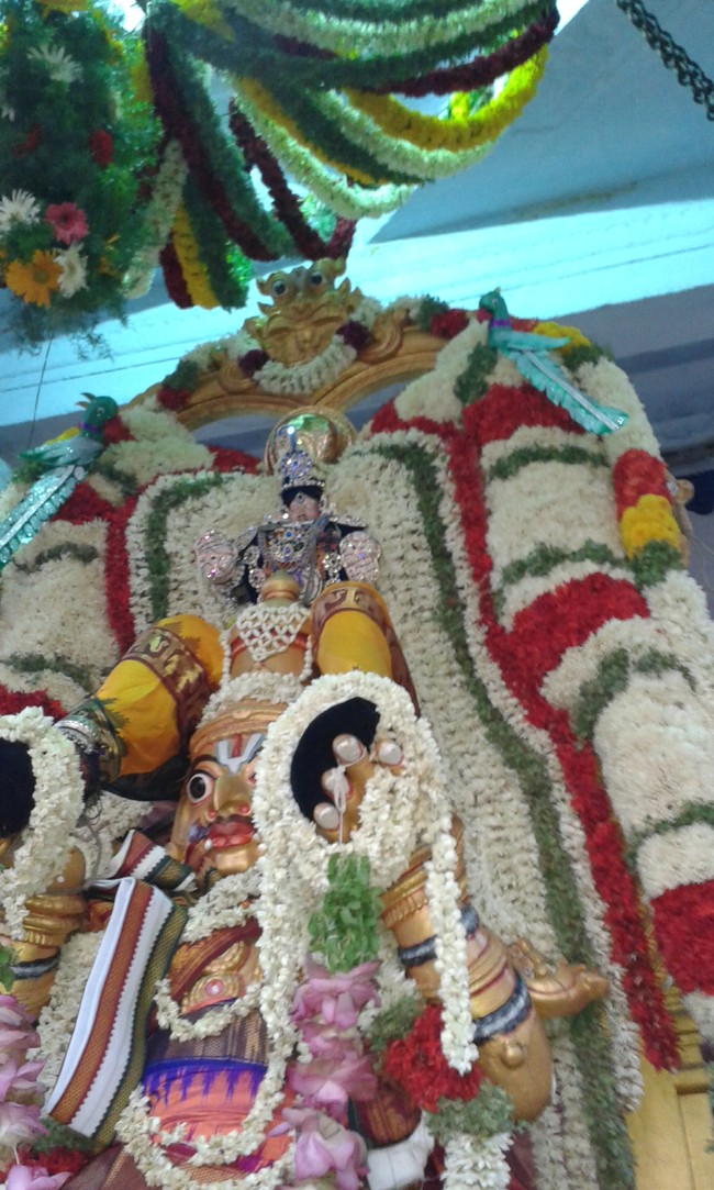 Villivakkam Sowmya Damodara Perumal Temple brahmotsavam garuda sevai -15