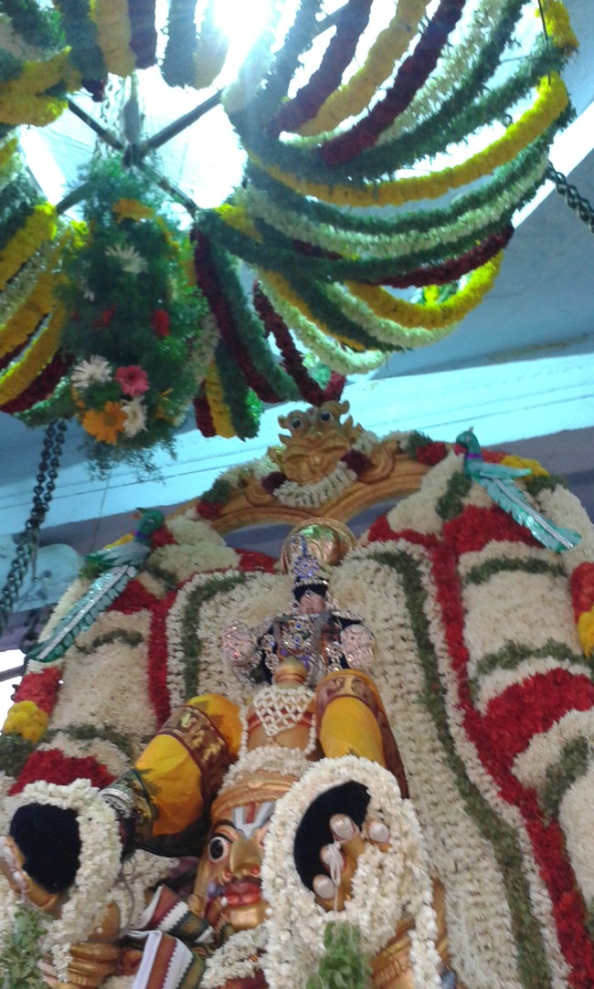 Villivakkam Sowmya Damodara Perumal Temple brahmotsavam garuda sevai -16