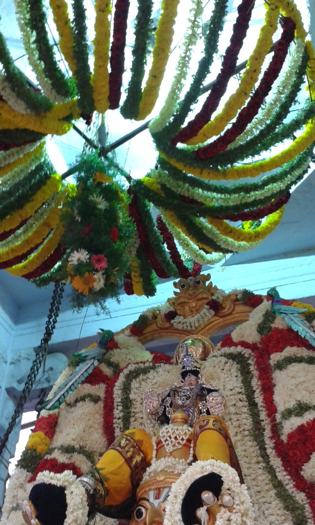 Villivakkam Sowmya Damodara Perumal Temple brahmotsavam garuda sevai -17