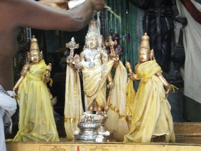 aminjikarai Sri Prasanna Varadharaja Perumal  Brahmothsavam10