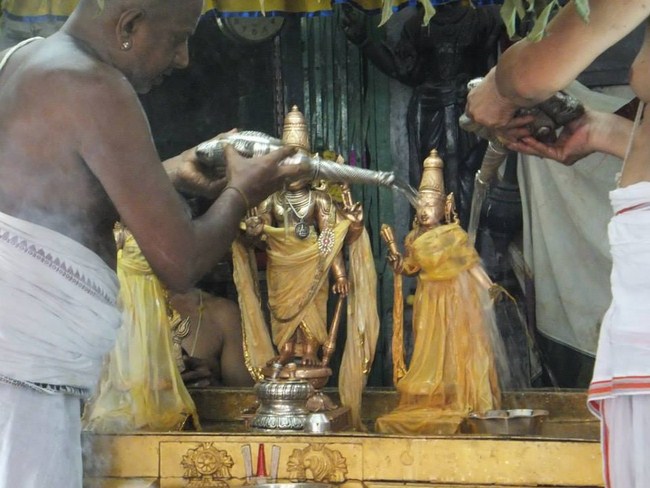 aminjikarai Sri Prasanna Varadharaja Perumal  Brahmothsavam4