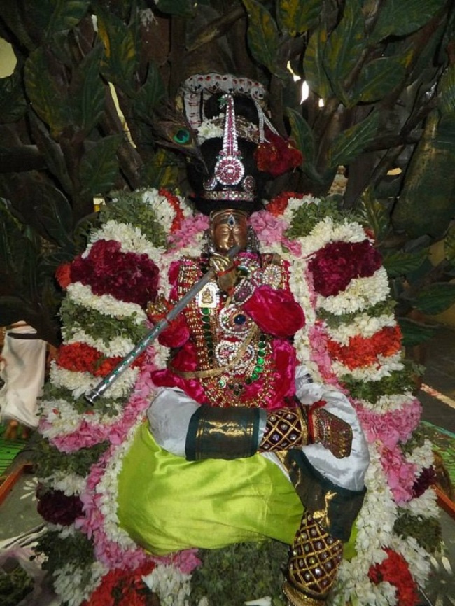 aminjikarai Sri Prasanna Varadharaja Perumal  Brahmothsavam46