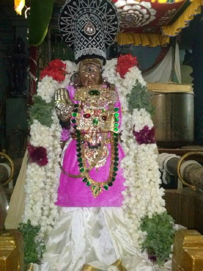aminjikarai Sri Prasanna Varadharaja Perumal  Brahmothsavam49