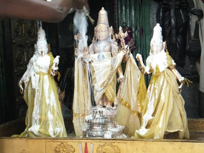 aminjikarai Sri Prasanna Varadharaja Perumal  Brahmothsavam5