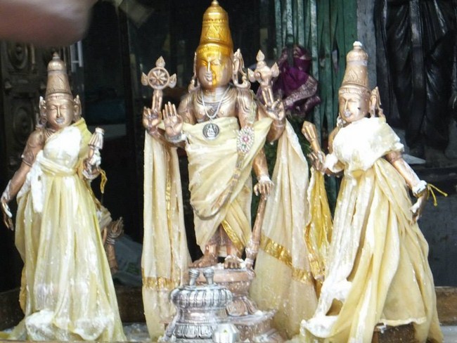 aminjikarai Sri Prasanna Varadharaja Perumal  Brahmothsavam6