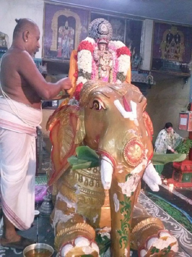 aminjikarai Sri Prasanna Varadharaja Perumal  Brahmothsavam61