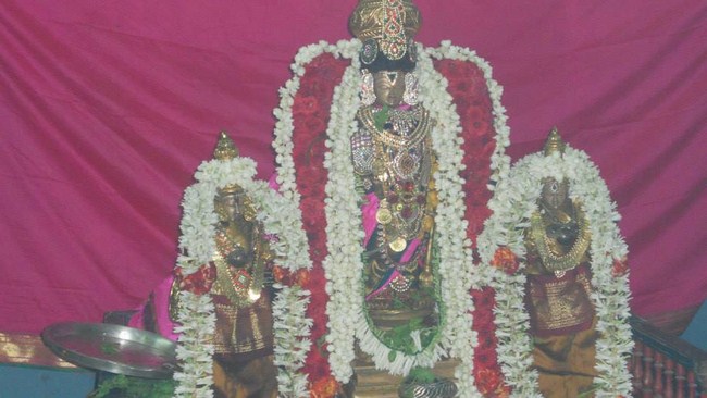 arumbakkam Sri Satyavaradharaja Perumal Avathara uthsavam 8