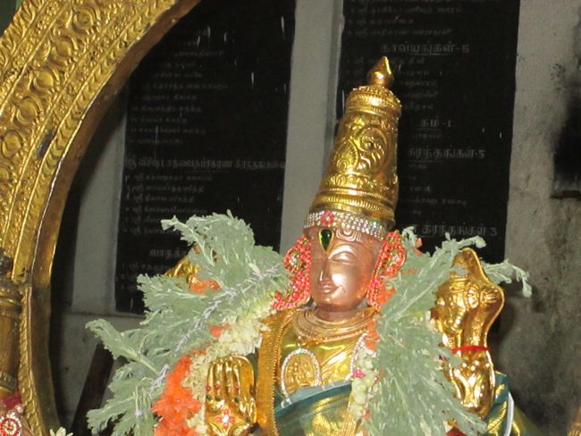 thoopul thirumanjanam & dasaavathaara aabaranam & veda parayanam (81)