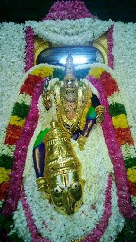 vanamamalai Sri Deivanayagan Ennaikappu uthsavam 2