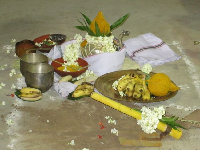 45th Azhagiyasingar Brindavanam Samprokshanam Angurarpanam  2014--32