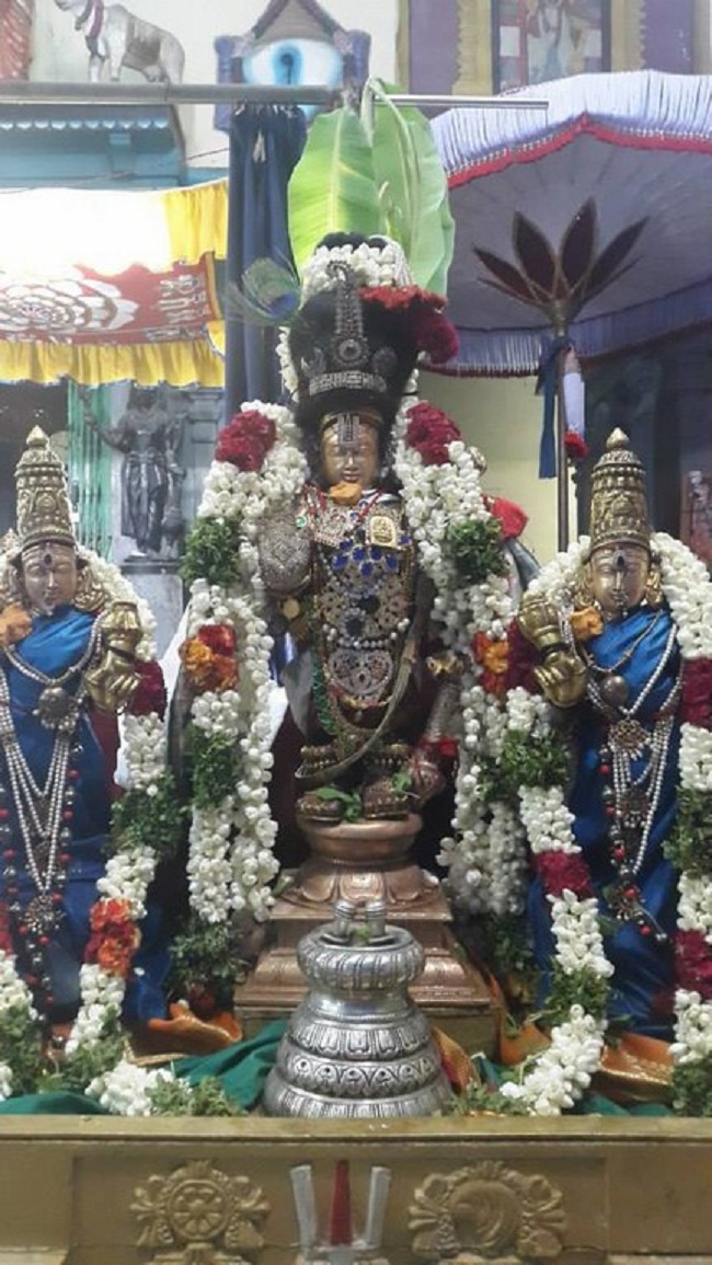 Aminjikarai Sri Prasanna Varadharaja Perumal  Brahmothsavam20