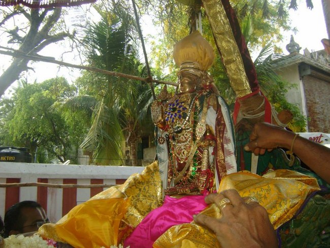 Aminjikarai Sri Prasanna Varadharaja Perumal  Brahmothsavam37