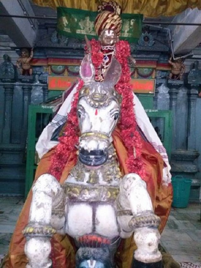 Aminjikarai Sri Prasanna Varadharaja Perumal  Brahmothsavam5
