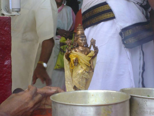 Aminjikarai Sri Prasanna Varadharaja Perumal  Brahmothsavam56