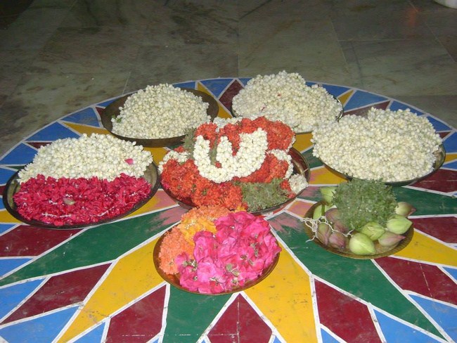 Aminjikarai Sri Prasanna Varadharaja Perumal Temple Kodai Uthsavam 13