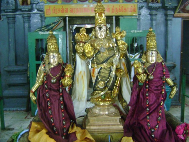 Aminjikarai Sri Prasanna Varadharaja Perumal Temple Kodai Uthsavam 19