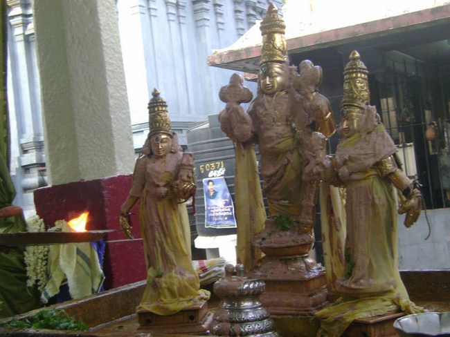 Aminjikarai Sri Prasanna Varadharaja Perumal Temple Kodai Uthsavam 23