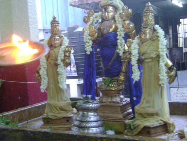 Aminjikarai Sri Prasanna Varadharaja Perumal Temple Kodai Uthsavam 26