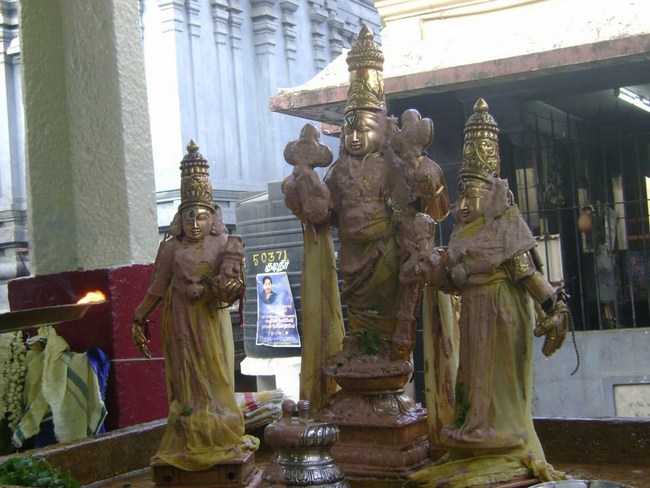 Aminjikarai Sri Prasanna Varadharaja Perumal Temple Kodai Uthsavam 30