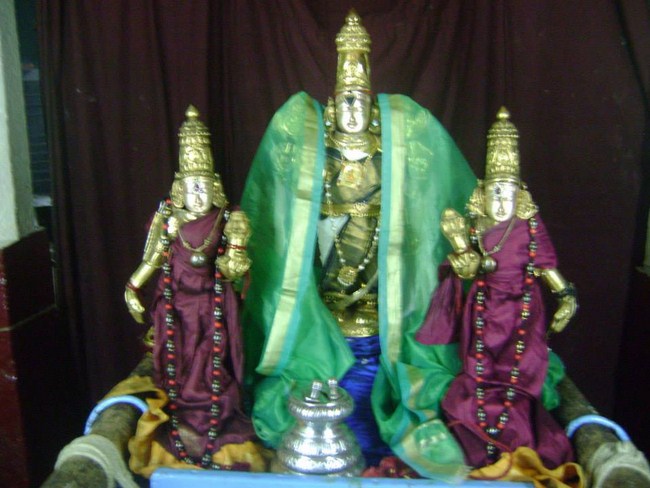 Aminjikarai Sri Prasanna Varadharaja Perumal Temple Kodai Uthsavam 9
