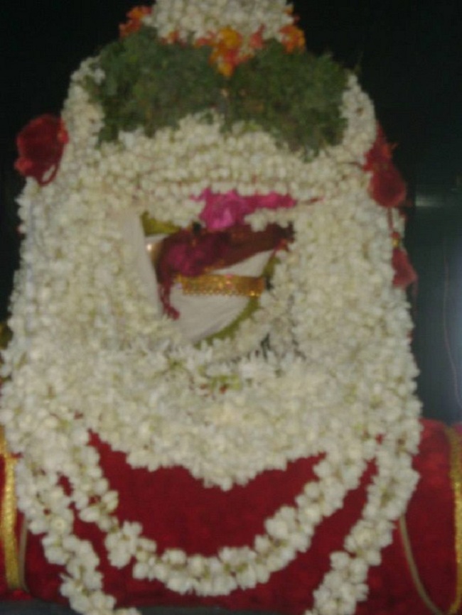 Aminjikarai Sri Prasanna Varadharaja Perumal Temple Kodai Utsavam Concludes7