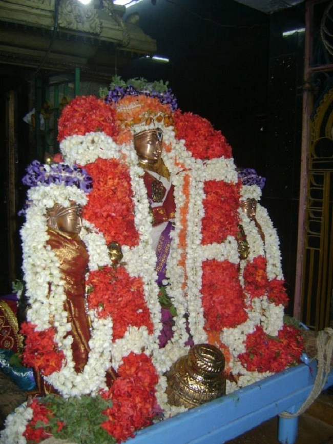 Aminjikarai Sri Prasanna Varadharaja Perumal Temple Kodai Utsavam14