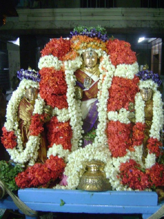 Aminjikarai Sri Prasanna Varadharaja Perumal Temple Kodai Utsavam15