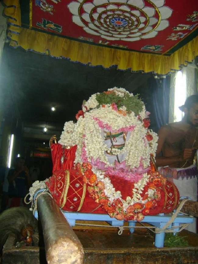 Aminjikarai Sri Prasanna Varadharaja Perumal Temple Kodai Utsavam16