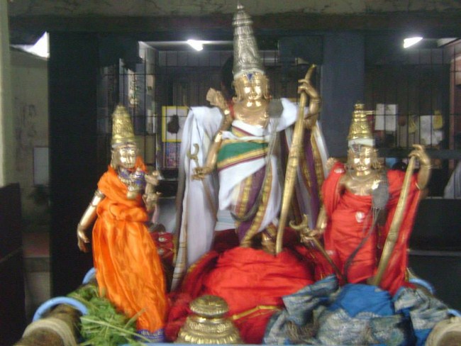 Aminjikarai Sri Prasanna Varadharaja Perumal Temple Kodai Utsavam4