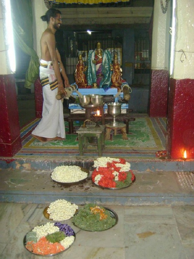 Aminjikarai Sri Prasanna Varadharaja Perumal Temple Kodai Utsavam8