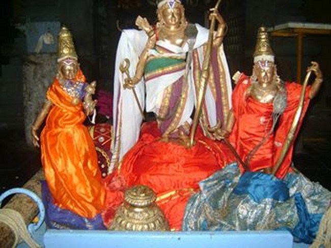 Aminjikarai Sri Prasanna Varadharaja Perumal Temple Kodai Utsavam9
