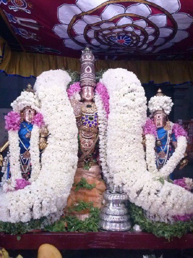 Aminjikarai Sri Prasanna Varadharaja Perumal brahmothsavam 12