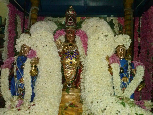 Aminjikarai Sri Prasanna Varadharaja Perumal brahmothsavam 24